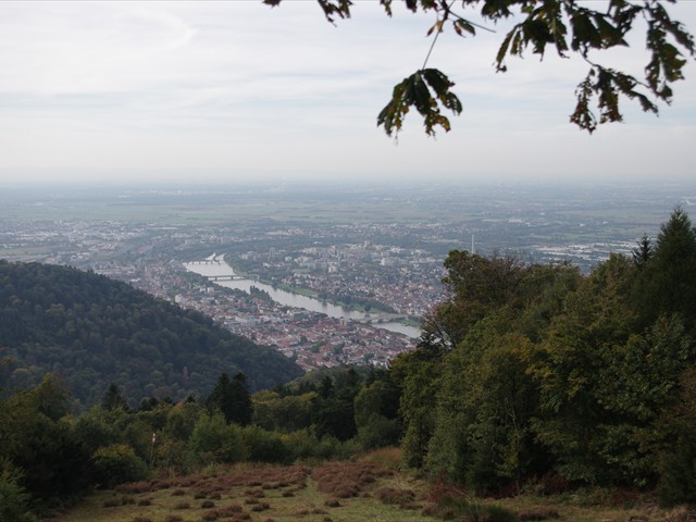 Heidelberg from Koenig Stuhl